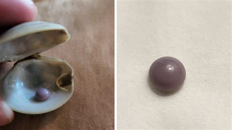 Is purple pearl rare?