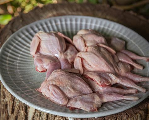 Is quail meat safe?