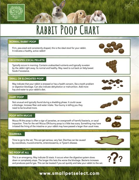 Is rabbit poop toxic?