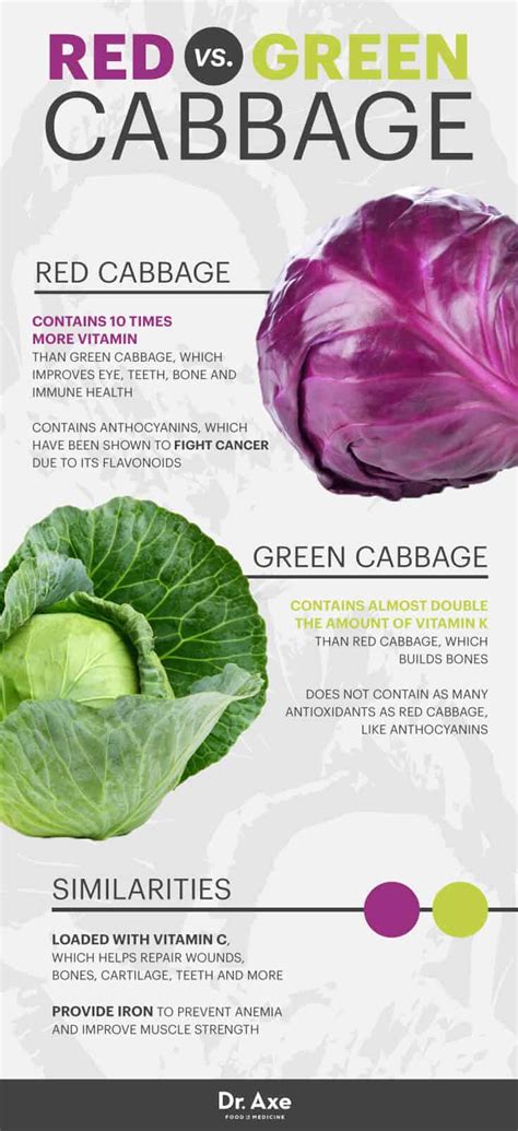 Is red cabbage GMO?