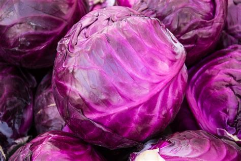 Is red cabbage purple?
