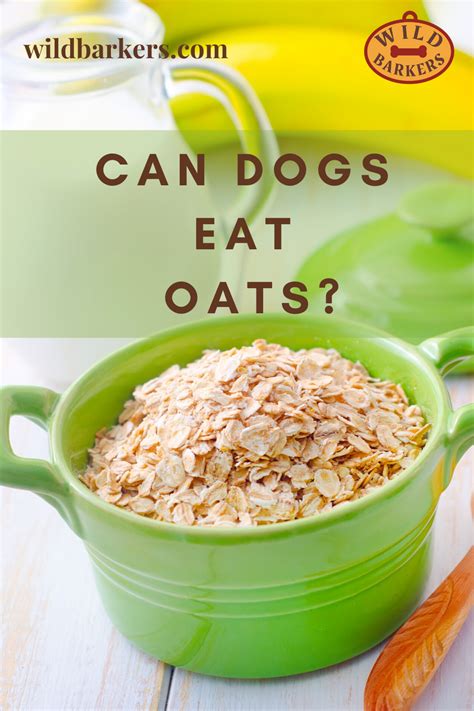 Is rice or oats better for dogs?