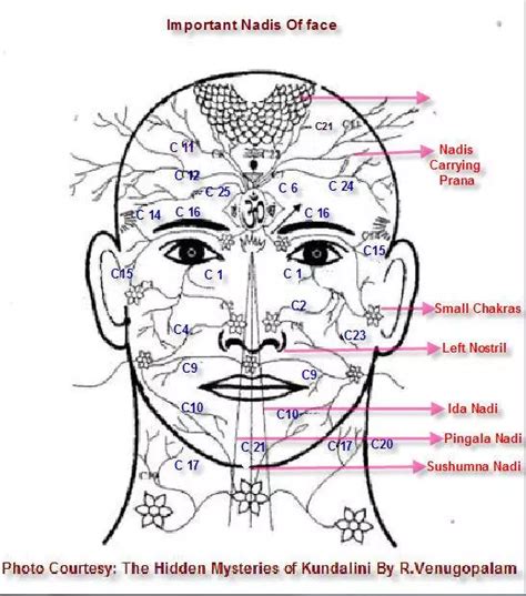 Is right nostril yin or yang?