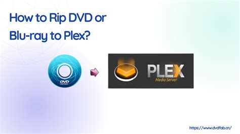 Is ripping DVDs for Plex legal?
