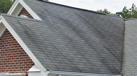 Is roof discoloration bad?