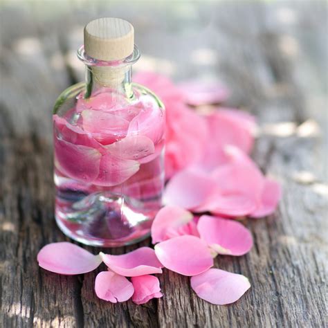 Is rose water dehydrating?