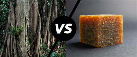 Is rubber synthetic or organic?