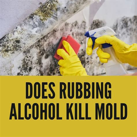 Is rubbing alcohol good for killing mold?