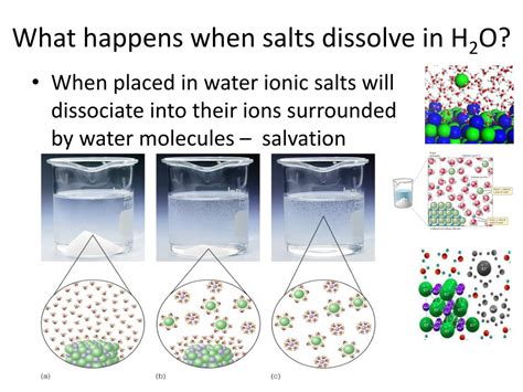 Is salt a positive or negative?