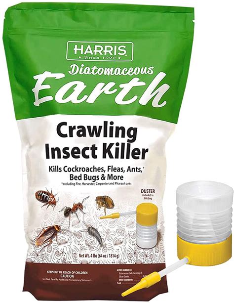 Is salt or diatomaceous earth better for fleas?