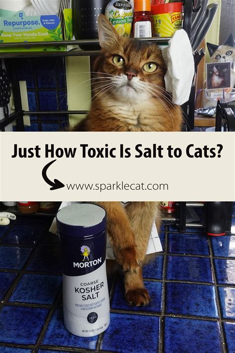 Is salt poisonous to animals?