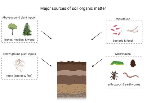 Is sand Organic or Inorganic?