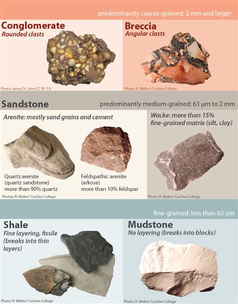 Is sandstone an organic?