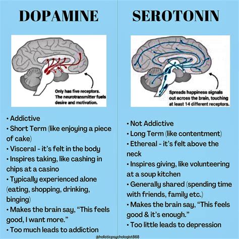 Is schizophrenia too much dopamine or serotonin?