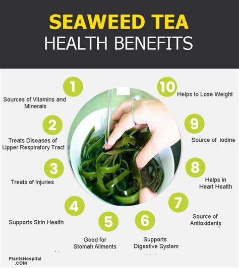 Is seaweed tea good for plants?