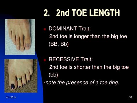 Is second toe length genetic?