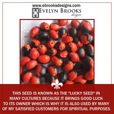 Is seed maker affected by luck?