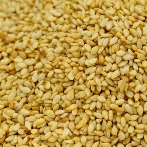 Is sesame seed a spice or herb?
