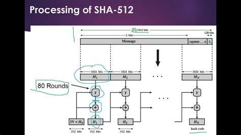 Is sha512 quantum safe?