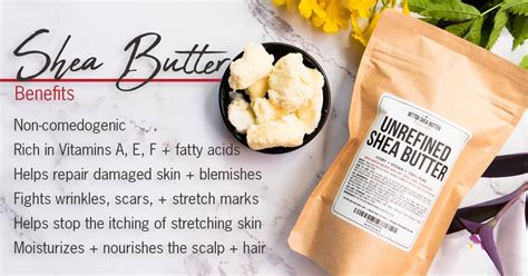 Is shea butter safe for dogs?