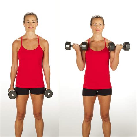 Is single or double bicep curl better?