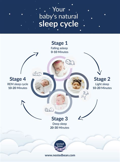 Is sleep length genetic?