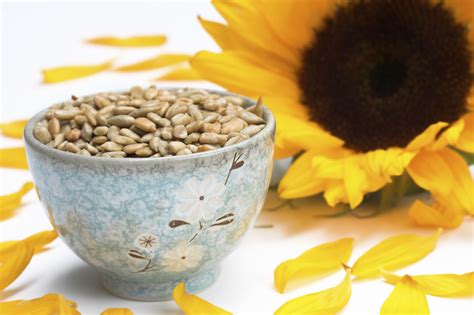 Is snacking on sunflower seeds healthy?