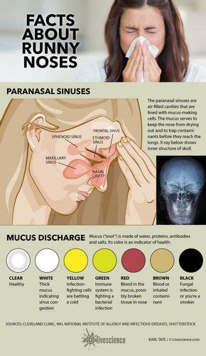 Is sniffing mucus bad for you?