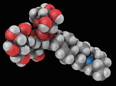 Is solanine a physical contamination?