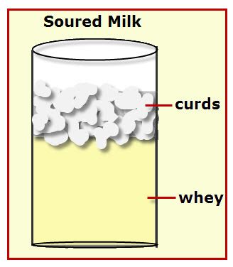 Is sour milk a protein?