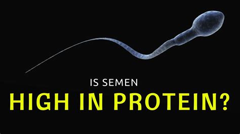 Is sperm high in protein?