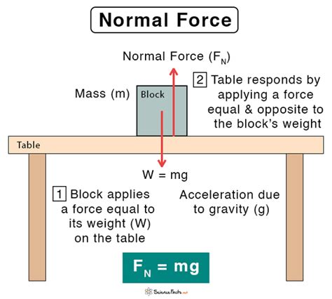 Is spring force equal to weight?