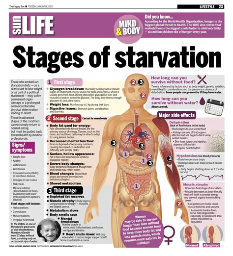 Is starvation diet good for the body?