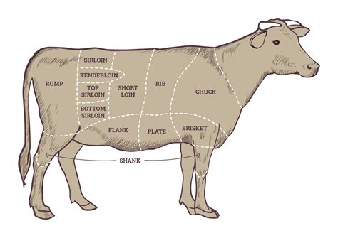 Is steak a male cow?