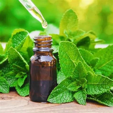 Is steaming with peppermint oil safe?