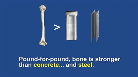 Is steel harder than human bone?