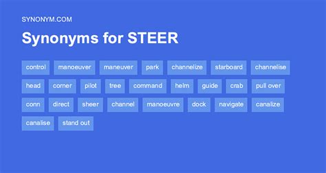 Is steer another word for cow?