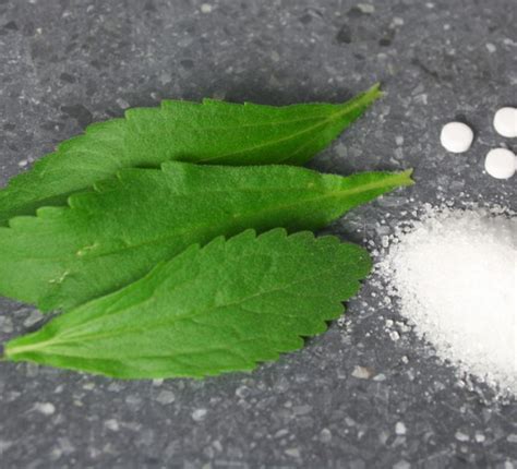 Is stevia banned in Canada?