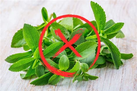 Is stevia banned in India?