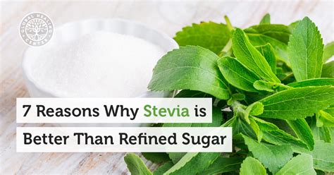 Is stevia better for you than sugar?