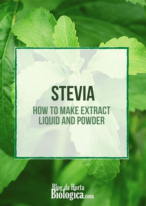 Is stevia real or fake?