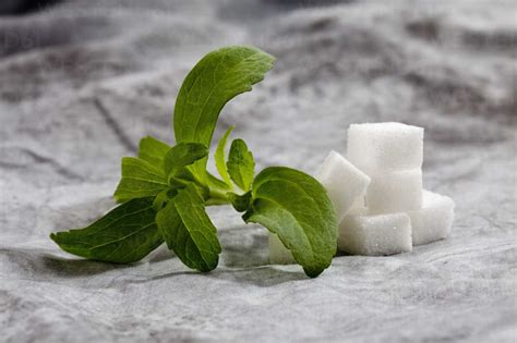 Is stevia the safest sweetener?