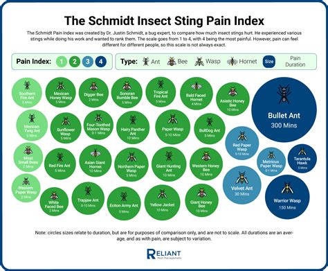 Is sting painful?