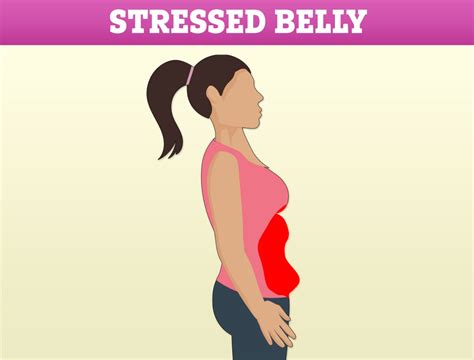 Is stress belly real?