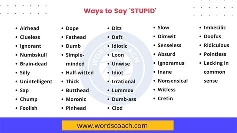 Is stupider a bad word?