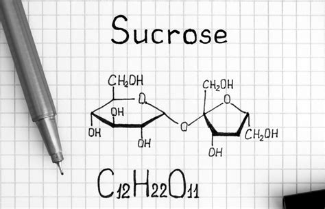 Is sucrose or fructose better for yeast fermentation?