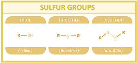 Is sulfur group polar?