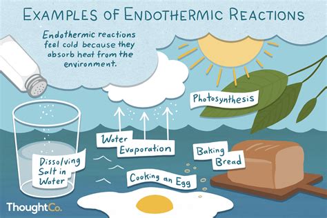 Is sweat evaporating endothermic or exothermic?