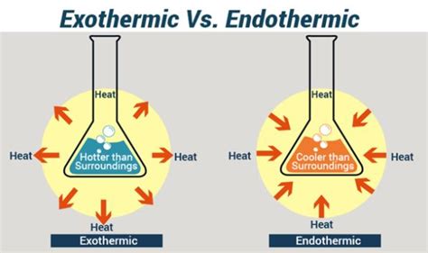 Is sweating endothermic or exothermic?