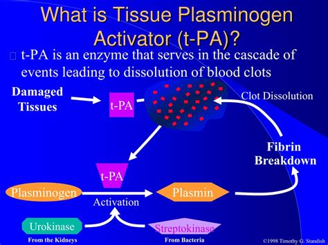 Is tPA a plasminogen activator?